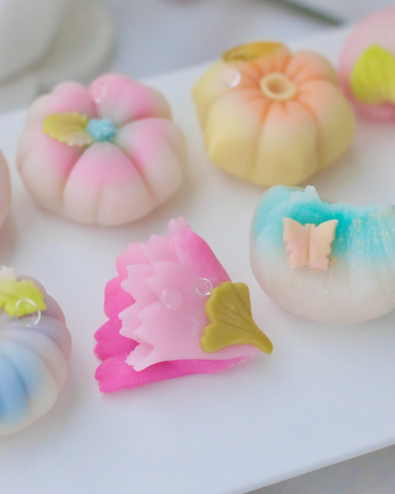 수강후기 사진 1