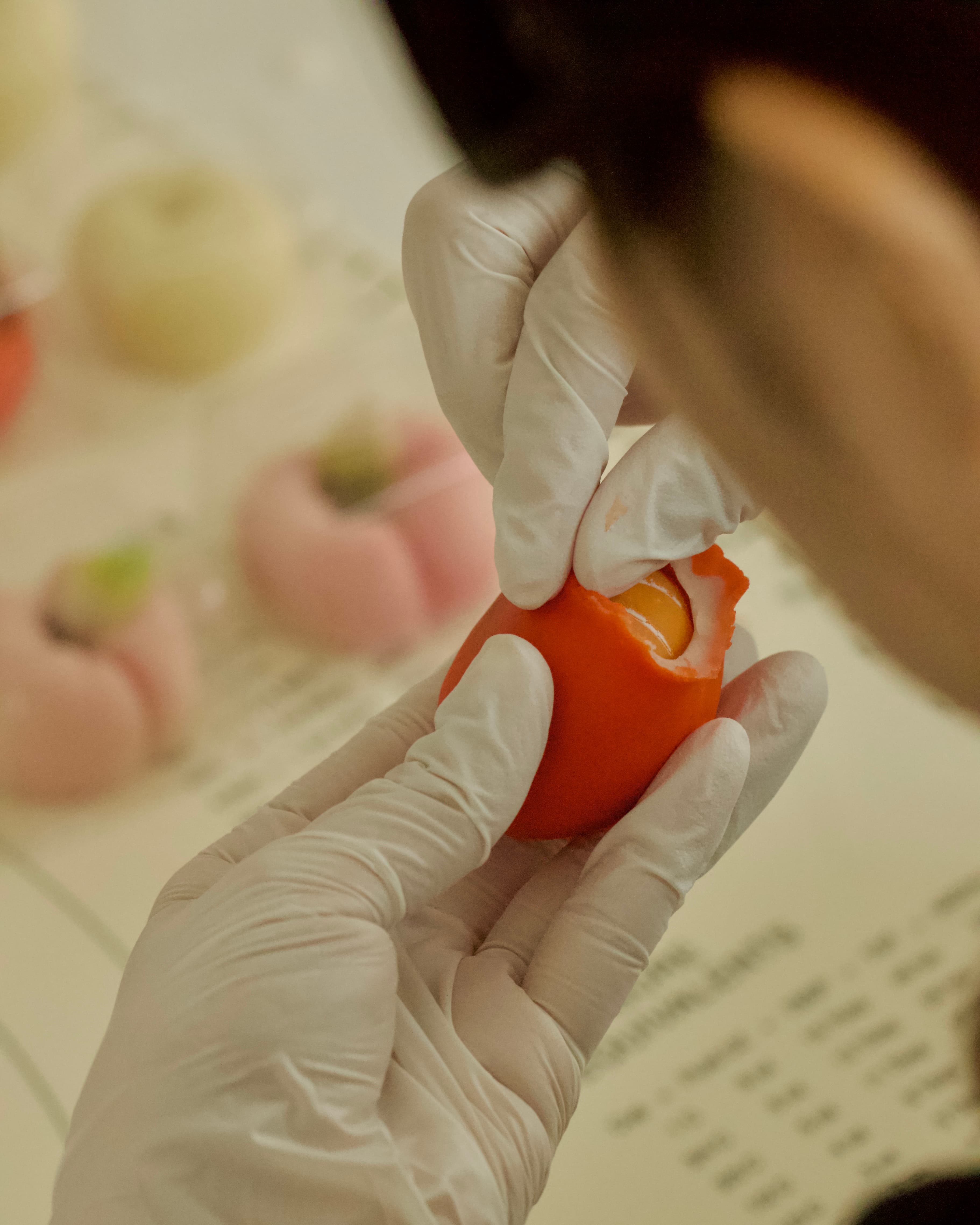 수강후기 사진 6